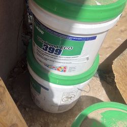 Glue