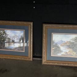 Vintage nature photos