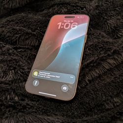 iPhone 16 Pro Max 