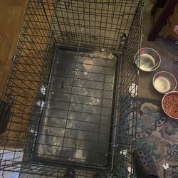 Dog Cage