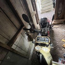 Maddog 150cc 2024