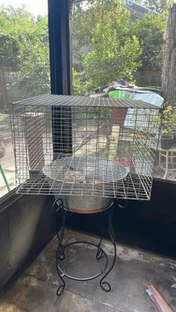 Cage For Dogs Of Different Species 20