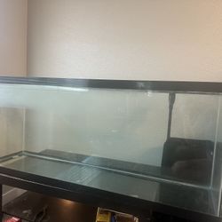 75 Gallon Aquatic Tank & Lamp
