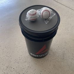 Brand new Bucket and 24 Wrapped Official League Baseballs. 