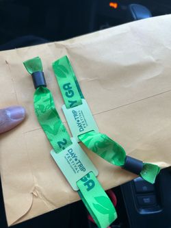 (2) 2day Daytrip festival tickets