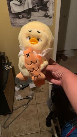 Cute Upset Duck With Goldfish With a Hood