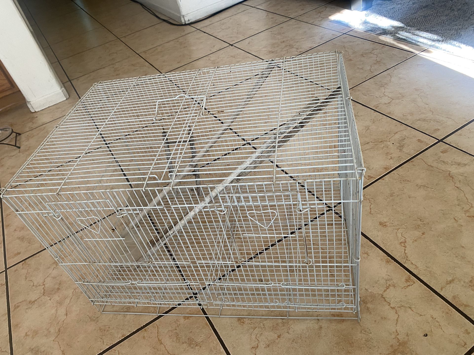 Bird cage 