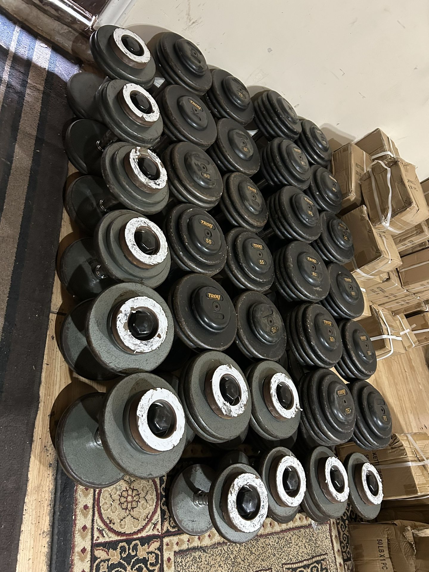 Troy Dumbbell Set