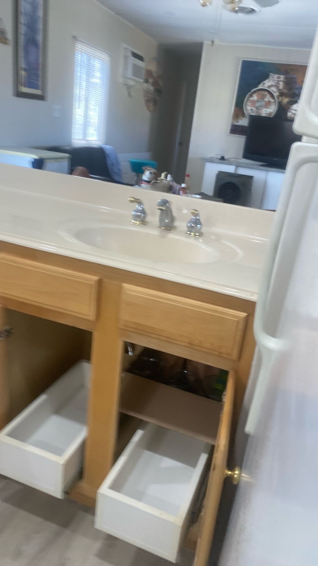 Bathroom Vanity