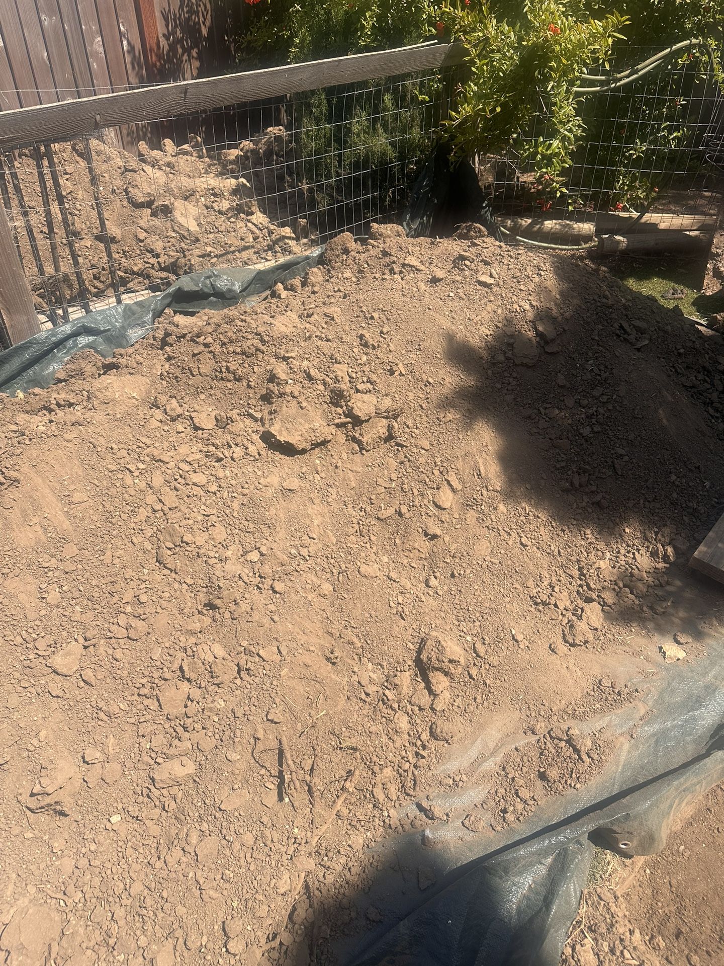 Dirt