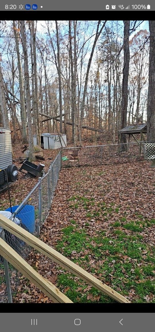 Free Firewood CUT YOUR OWN