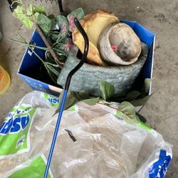 Reptile Supplies 
