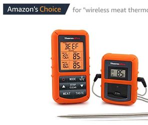 Therm Pro TP-20 wireless dual probe meat & bbq thermometer - NEW