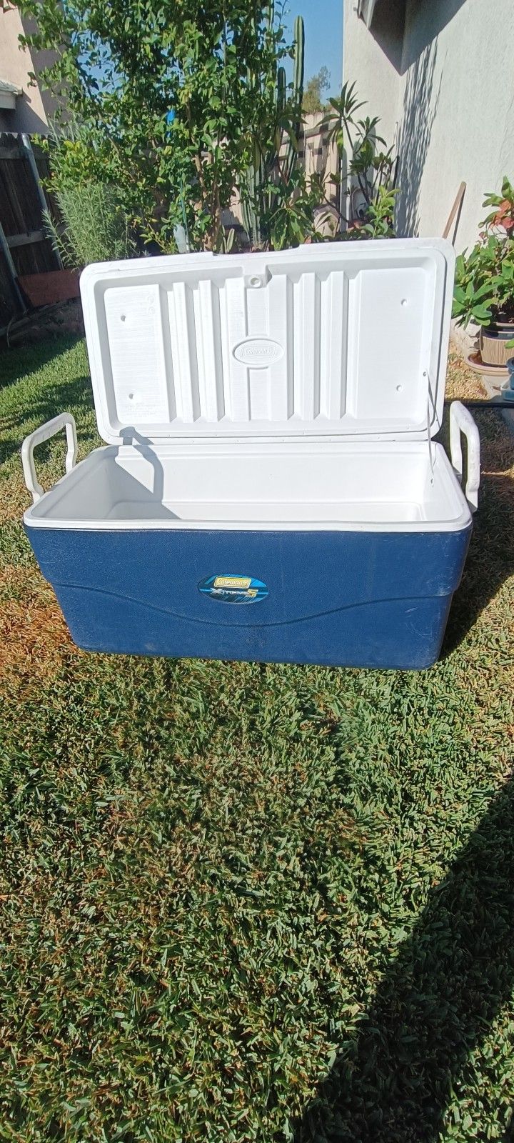 Cooler grande/Giant COLEMAN
XTREME 5 120 qts