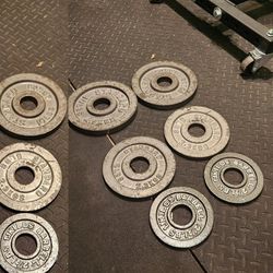 35LB OLYMPIC WEIGHTS CHANGE PLATES WEIGHT SET

