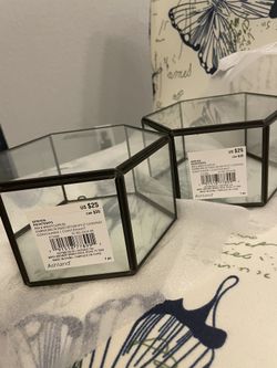 Glass Plant Terrarium