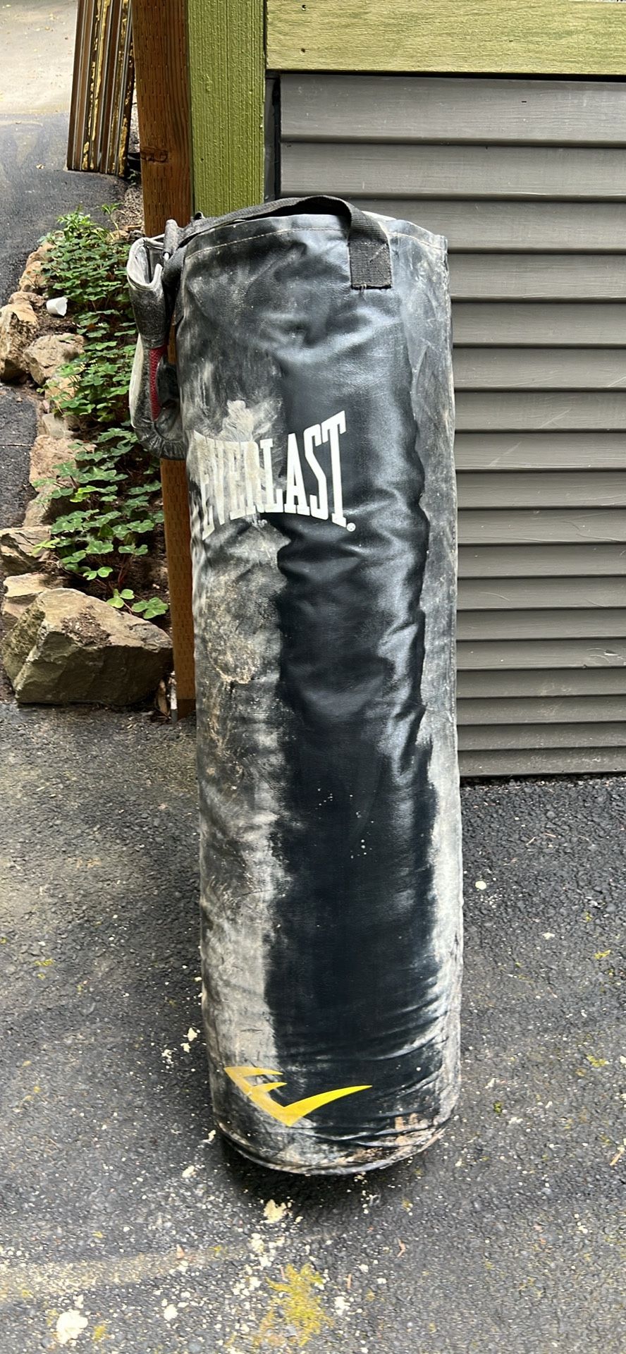 Everlast punching bag and gloves