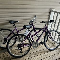 Purple Mountain Bikes