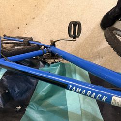 Cruiser Mountain Bike 