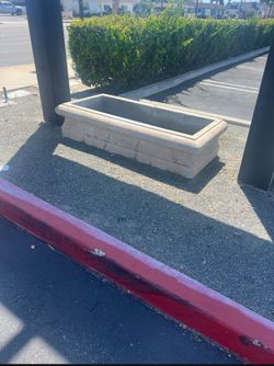 Large Concrete Planter
