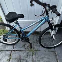 Huffy Women’s 26 Inch Bicycle