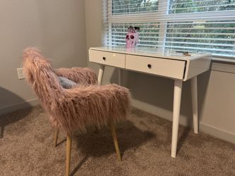 Desk With Fur Chair