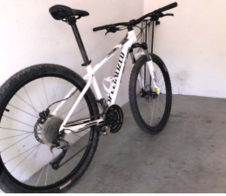 Specialized Bicycle