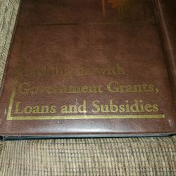 Government Grants, Loans And Subsidies Guides