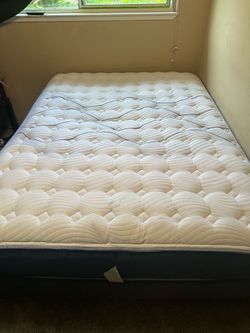 Queen Bear Mattress Elite Hybrid, box spring and stand $80