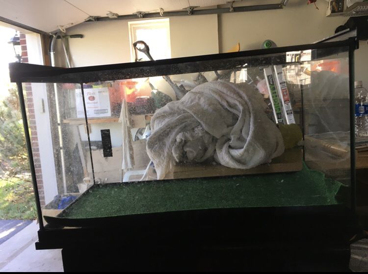 Reptile or fish tank