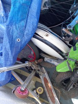 Hoverboard & Pokemon cards & football and basketball and baseball and soccer cards for seal