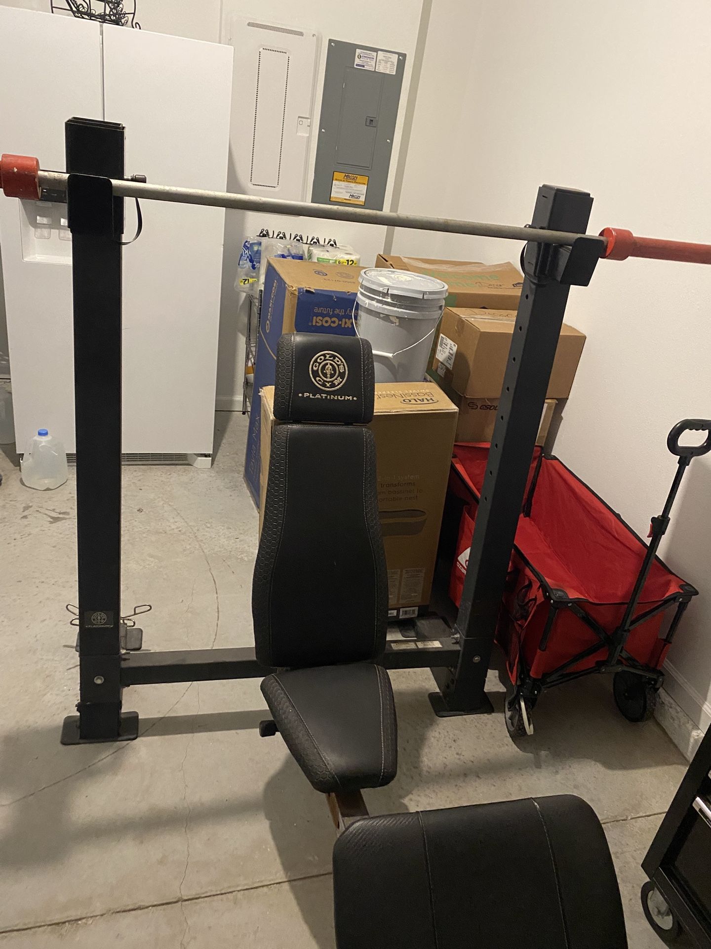 Bench Press