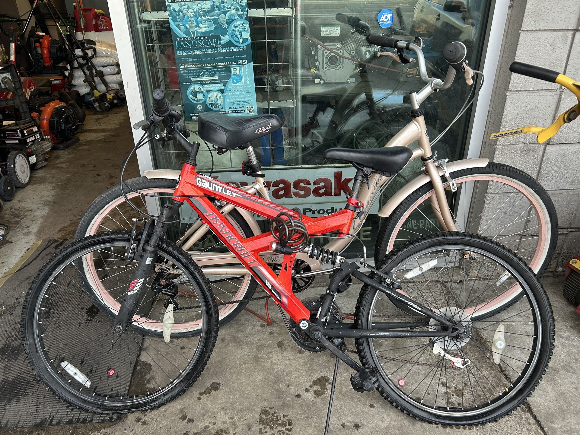 Cruiser Bike And A Mountain Bike