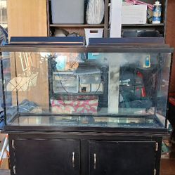 Fish Tank 