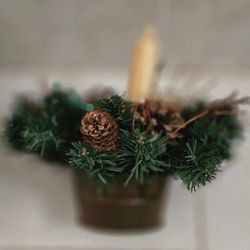 Candle Ring - Mixed Winter Greens Diameter 10"

