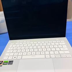 Display issue : ROG Zephyrus G14  model:GA403UV-G14.R94060