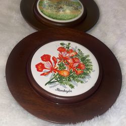 Vintage Walnut Hanging Plates