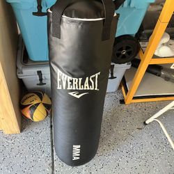 Everlast Punching Bag