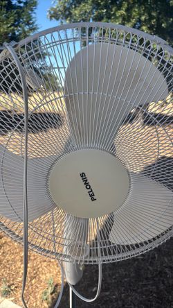 Fan, 2 sitting cyclers