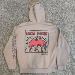 Mens Large Hollister Hoodie