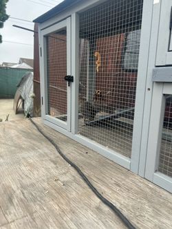 Multilevel rabbit hutch