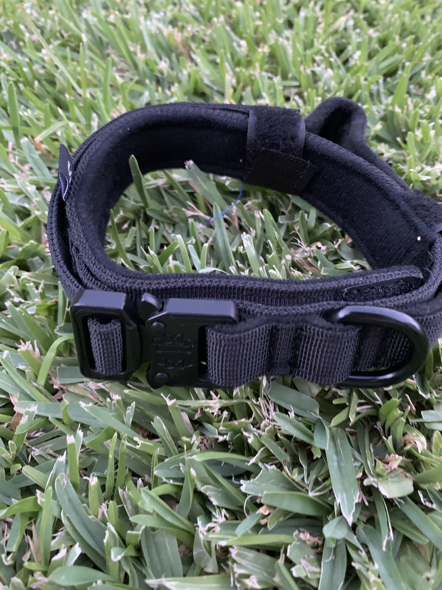 Dog Collar