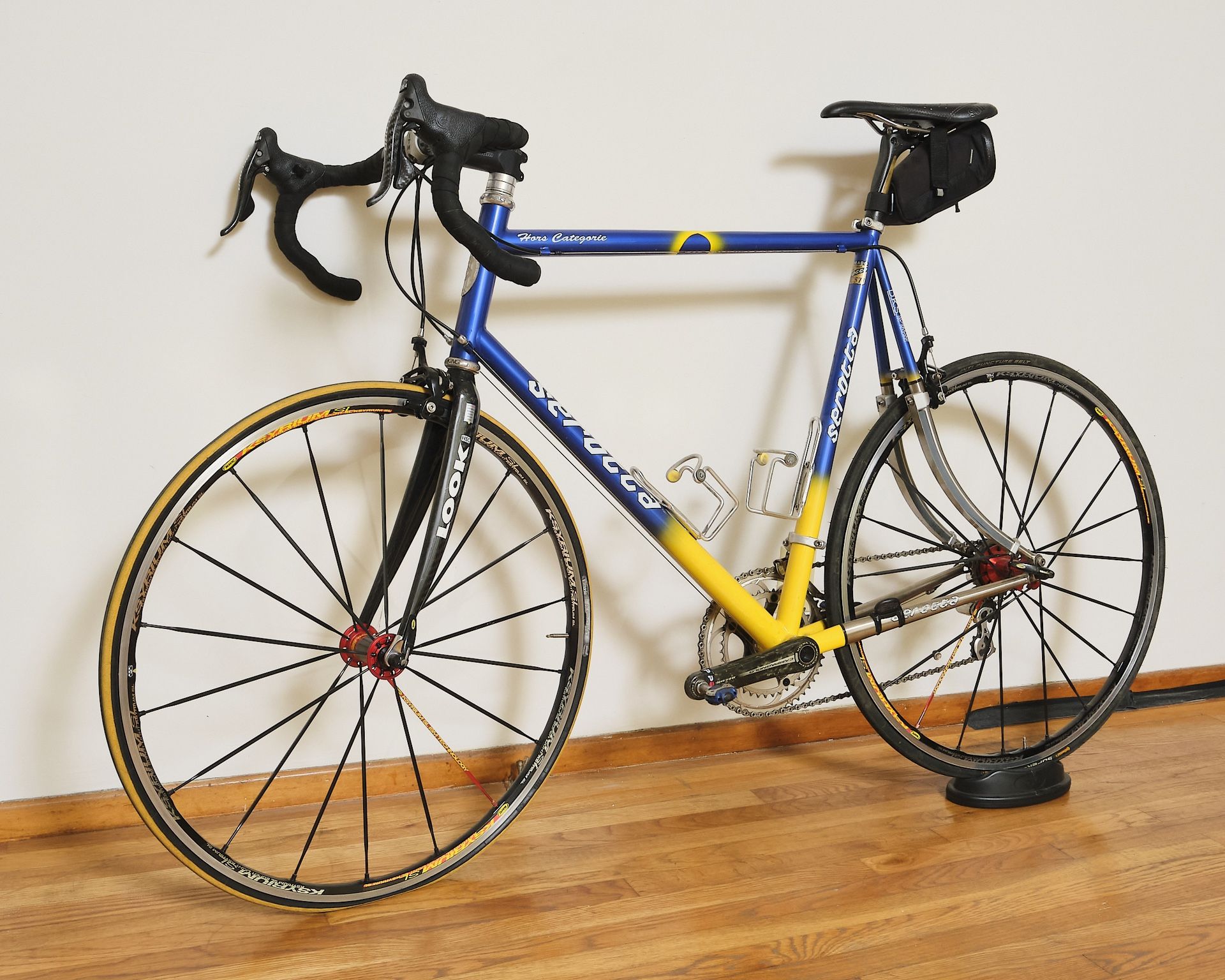 Titanium Road Bike by Serotta model hors Categorie + extras