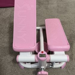 Sunny Cardio Workout Stepper Machine