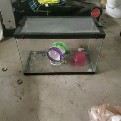Animal Tank