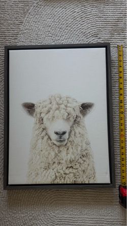 Wall pictures