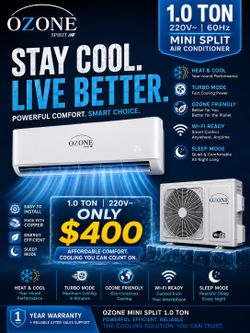 1 ton mini split 220v