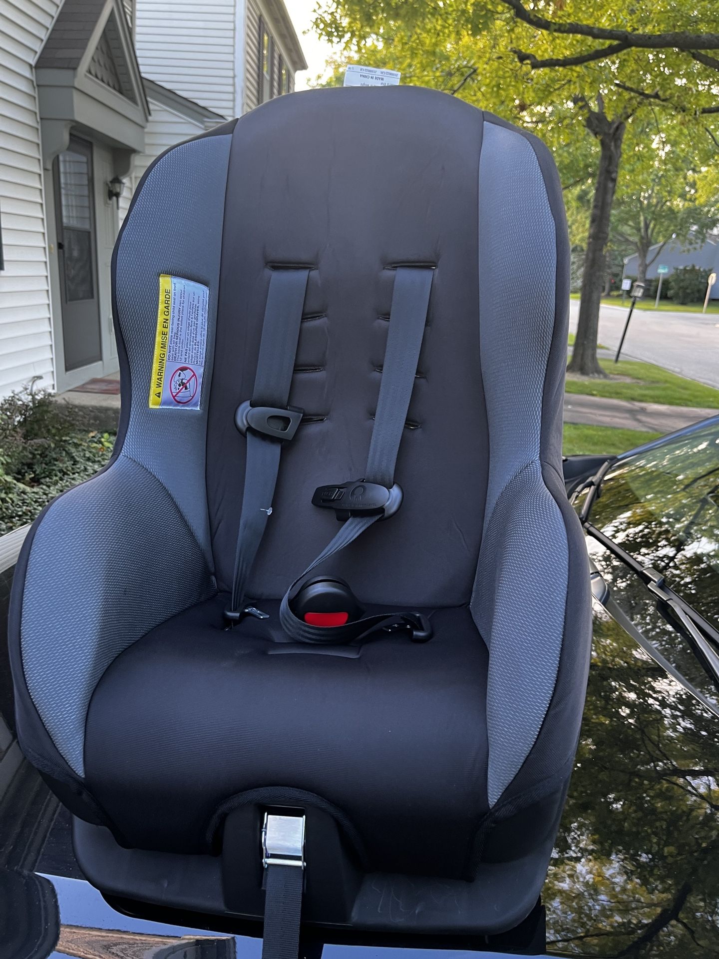 New 2025 Even Flo Tribute Convertible Car Seat
