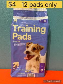 Up & Up Training Pads Large 12 Pads 