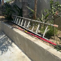 Ladder